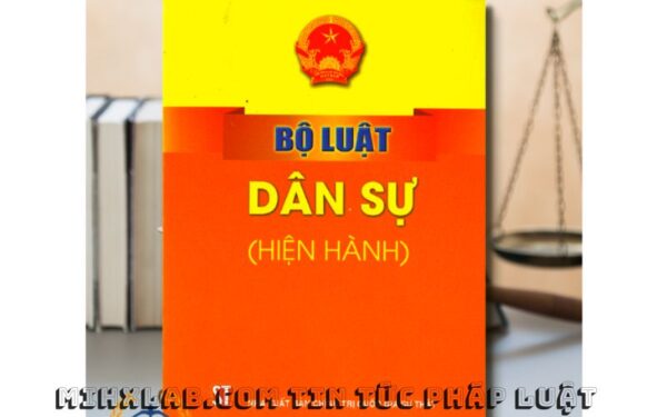 Combo 2 cuốn Bộ luật dân sự và Bộ luật hình sự